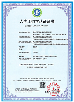 Ergonomic Certificate